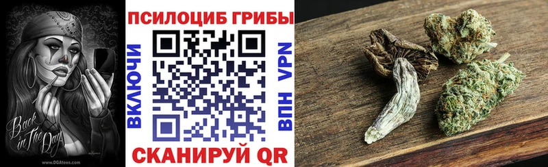 купить наркотик  Почеп  Псилоцибиновые грибы ЛСД 